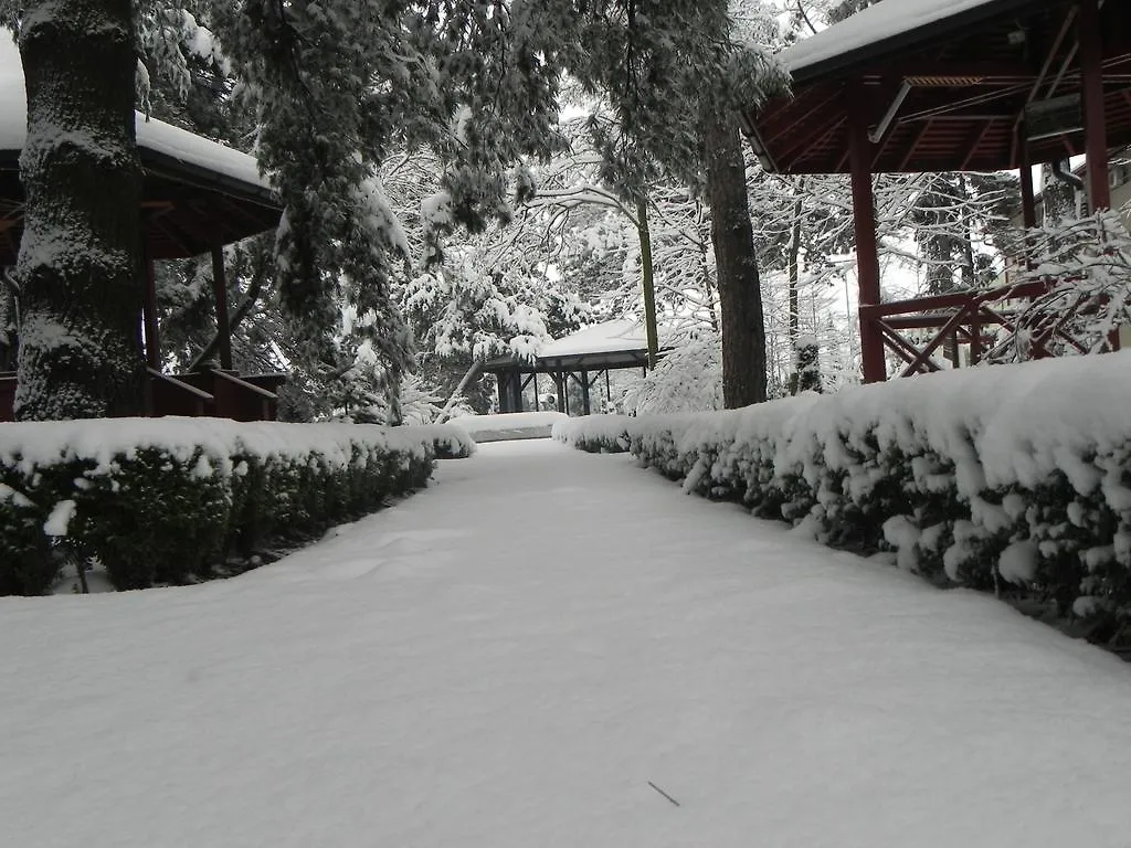 Hotel Baneasa Parc بوخارست